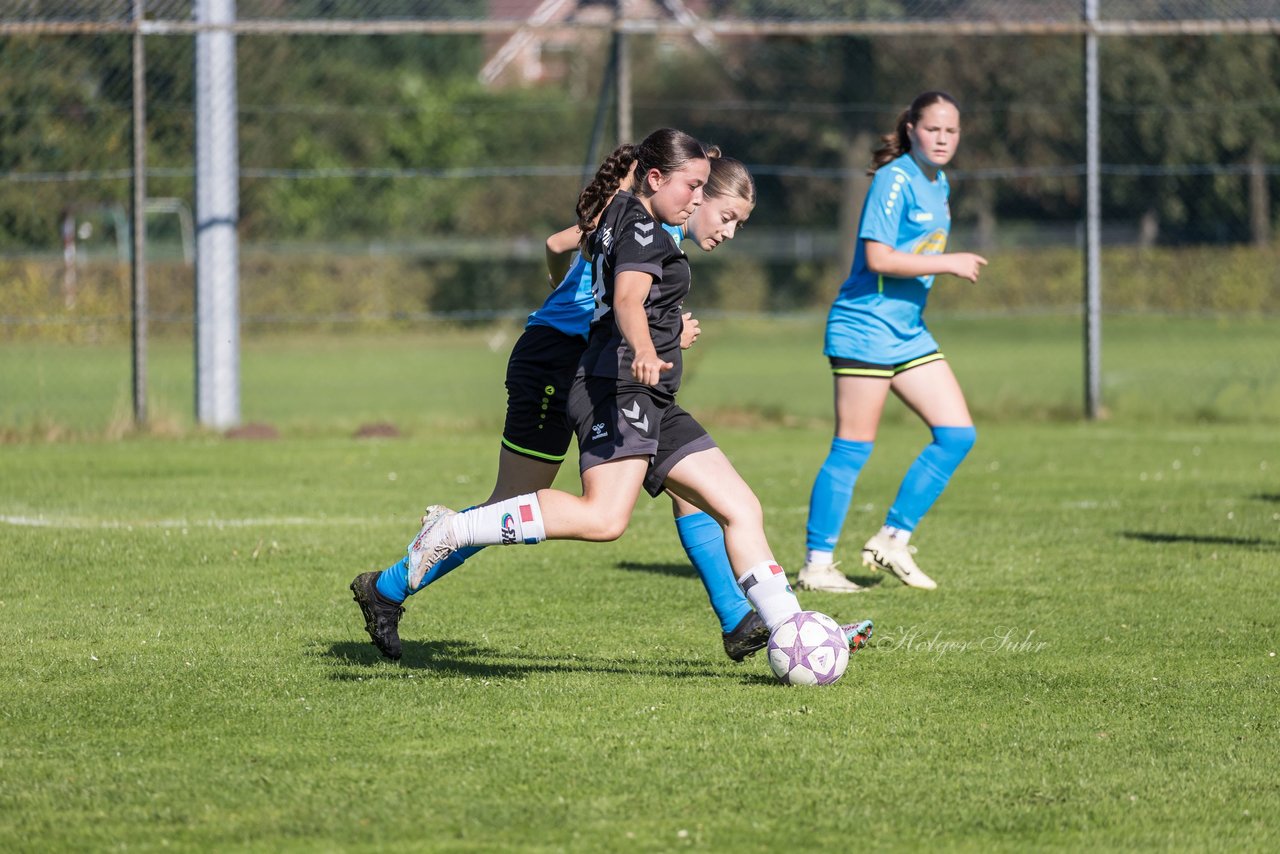 Bild 135 - wBJ SV Henstedt Ulzburg - FSG Oldendorf Itzehoe : Ergebnis: 2:5